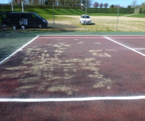 009 (4) Mairie La Sauvagère (61)