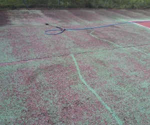 023 Pariculier Bavent (14)